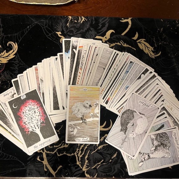 The Wild Unknown Tarot Deck & Guidebook (CLEANSED) - Picture 5 of 5